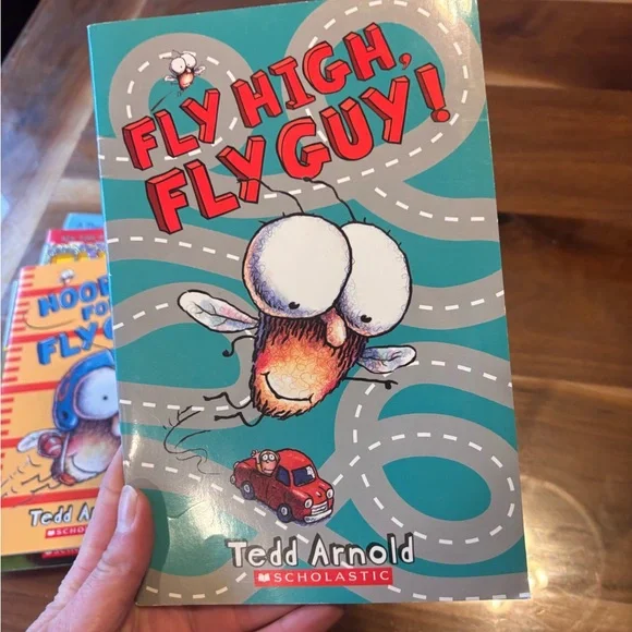 Fly Guy Book Set by Tedd Arnold - Colorful Collection - Picture 9 of 10